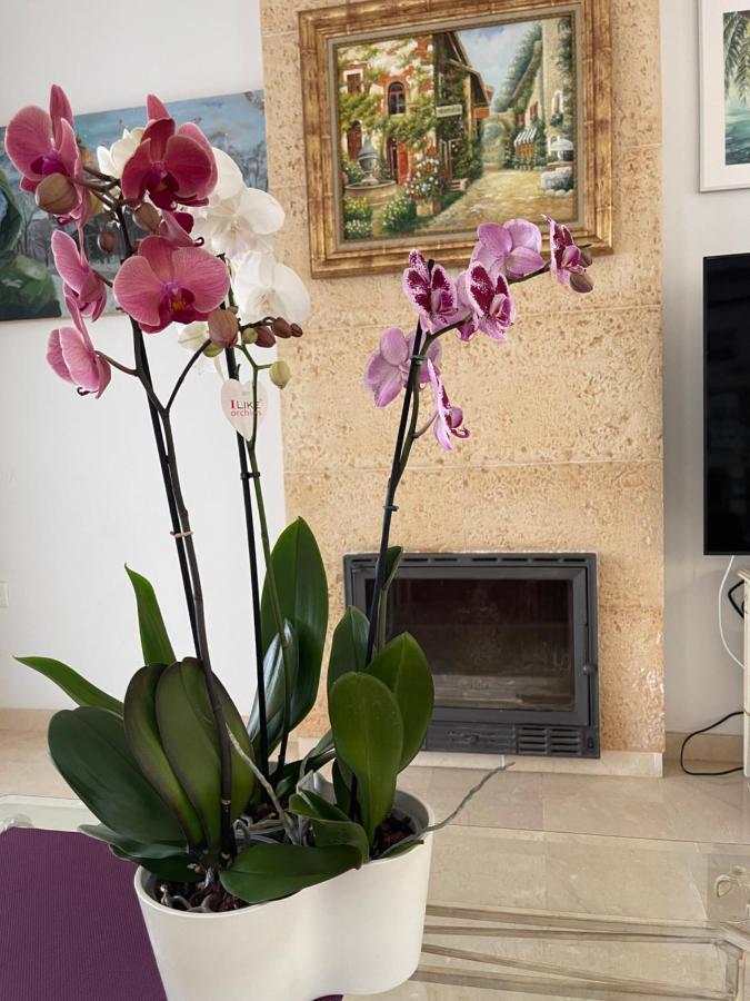 Villa With Heated Private Pool, Sea View& Turkish Sauna Benalmádena Zewnętrze zdjęcie